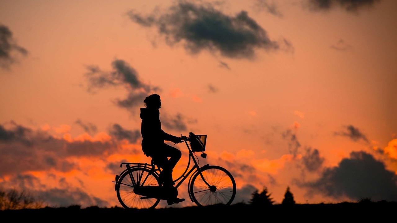 Fietsenmaker in Veenendaal